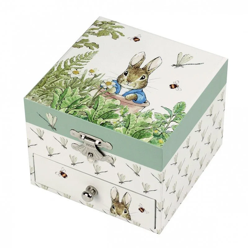 Modern brass decorative tray-Musical Jewellery Box: Peter Rabbit - Dragonfly (Cube)