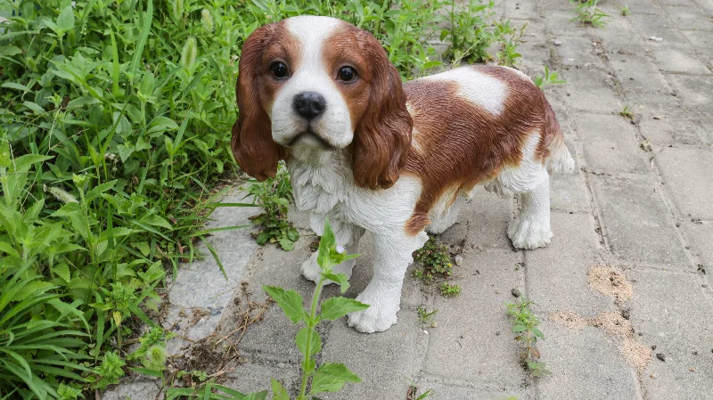 Small iron wall shelf-Brown/White King Charles Spaniel Standing Statue