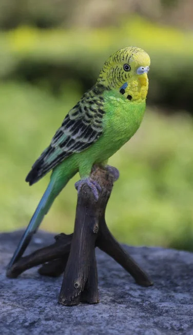 Small rattan wall vase-Budgie On Branch