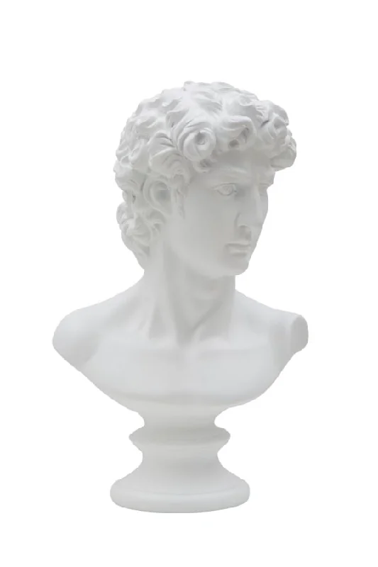 Small iron wall shelf-David Bust Statue (White Resin Sculpture)