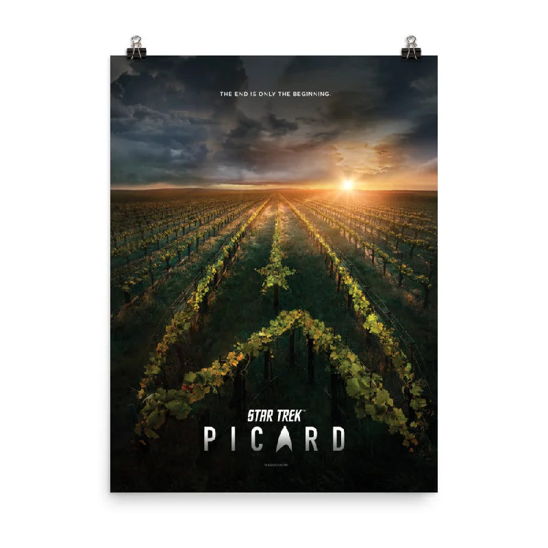 Handcrafted wooden wall sign-Star Trek: Picard Original Key Art Premium Poster