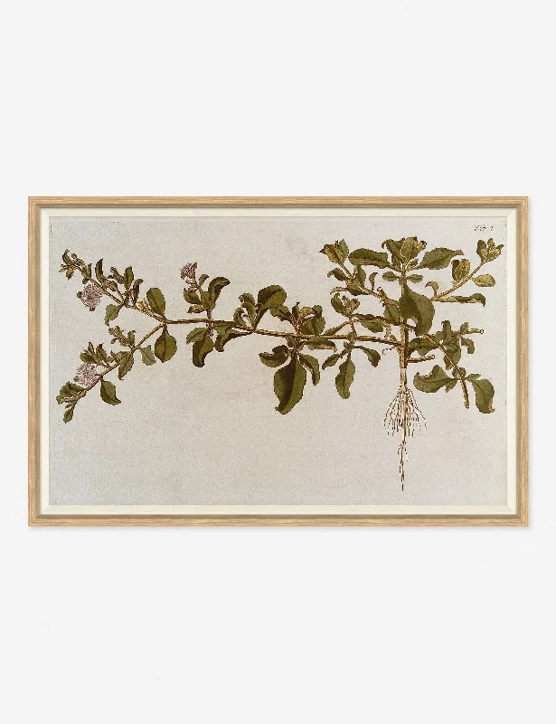 Vintage gold wall shelf-Flowering Plants I Wall Art by Franz Anton Von Scheidl